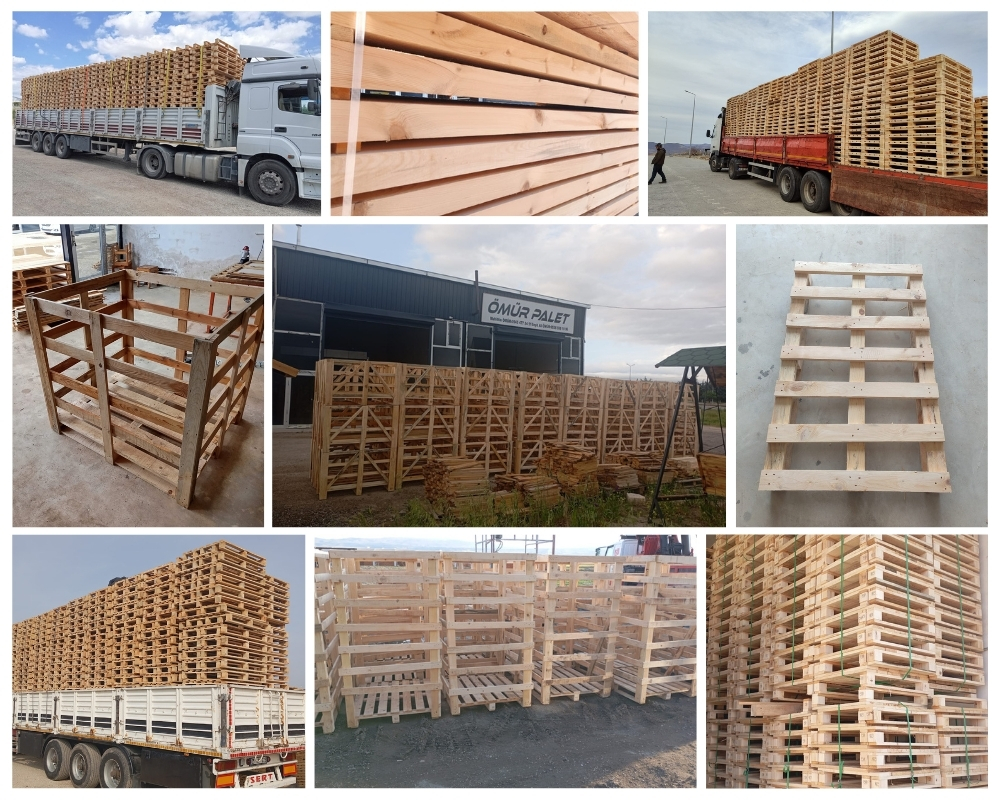 Bornerbroek Houten Kisten, Europallets Groothandel Kopen
